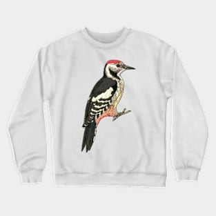 Middle spotted Woodpecker Crewneck Sweatshirt